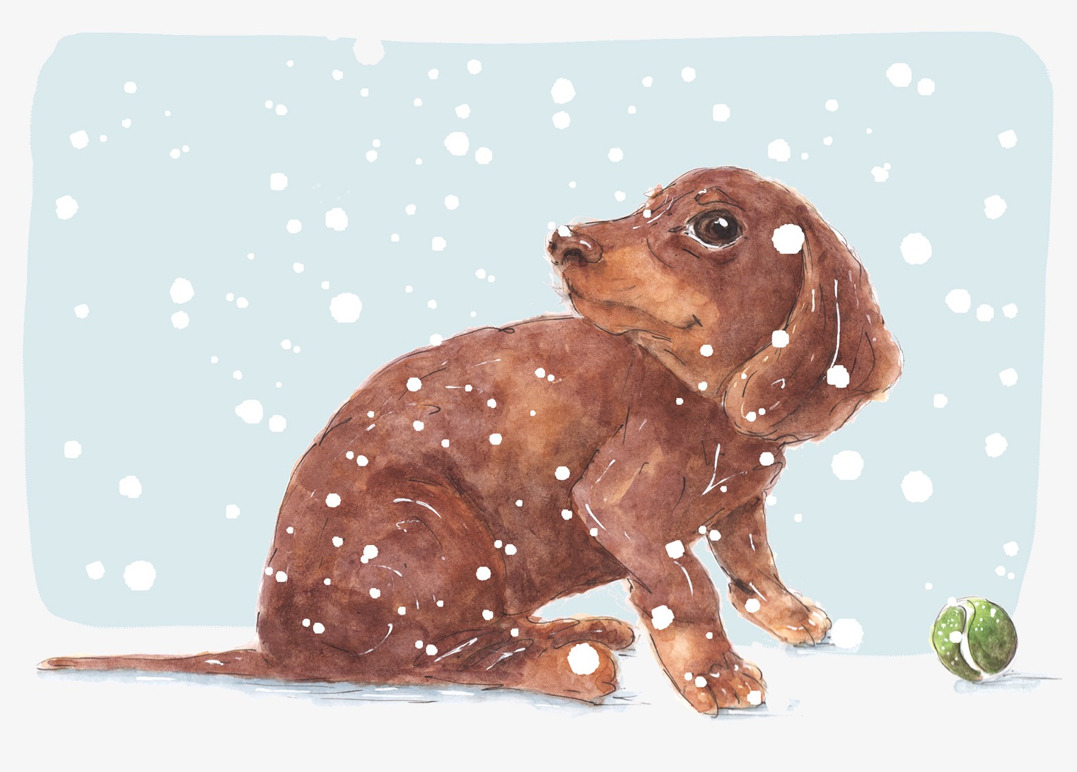 Coco In The Snow