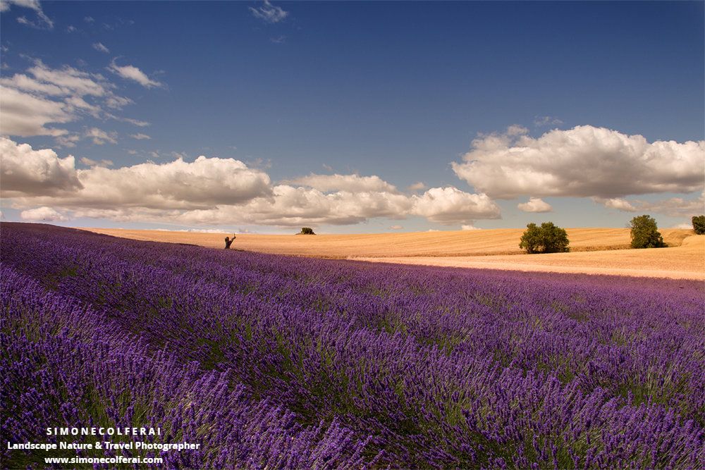 Yoga Brussels, Yoga, Anasa, Therapy, Yoga Benefits, Yoga in Healthcare, Yoga for stress, anxiety, burnout