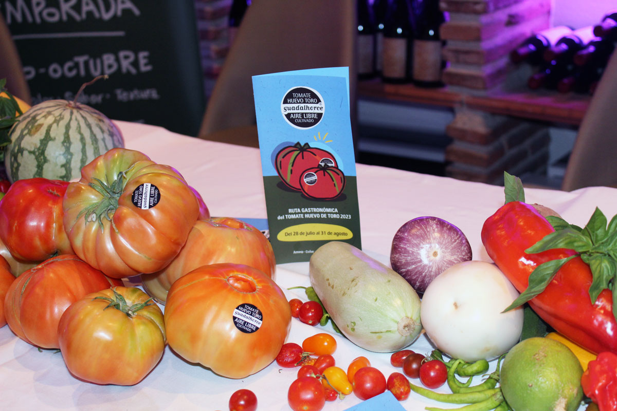Ervaar de Culinaire Verwennerij van Tomato Huevo Toro: De Gastronomische Route van 2023