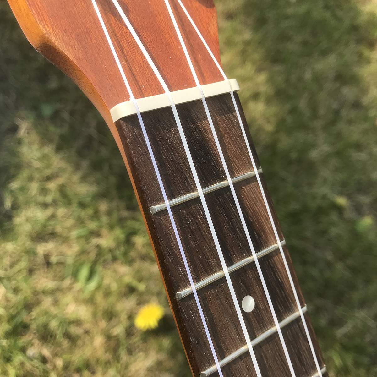 Betere ukulele set (goede ukulele)