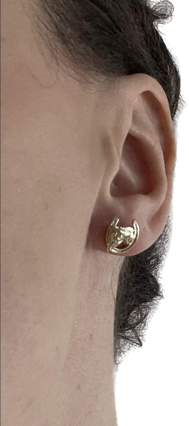 Horse head in shoe earrings