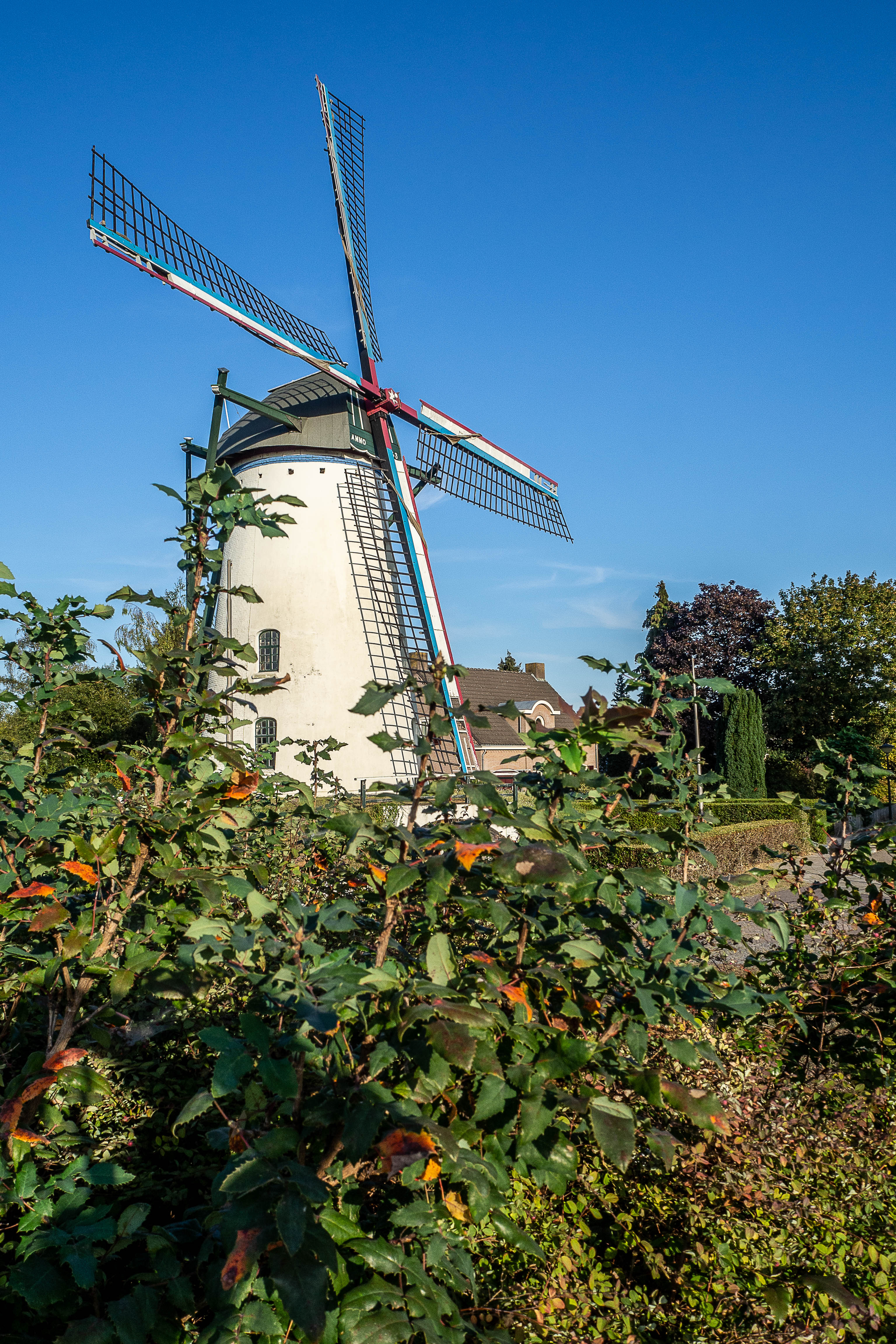 De windmolen 't Nupke in Geldrop