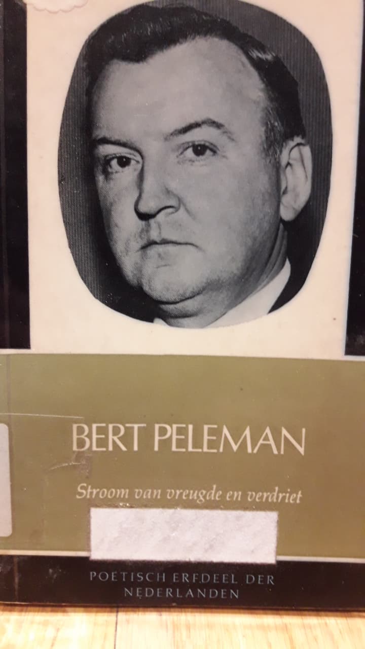 Bert Peleman / stroom van vreugde en verdriet - 1965