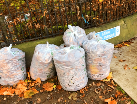 Dublin City Council leaves collection arrangements for Griffith Avenue