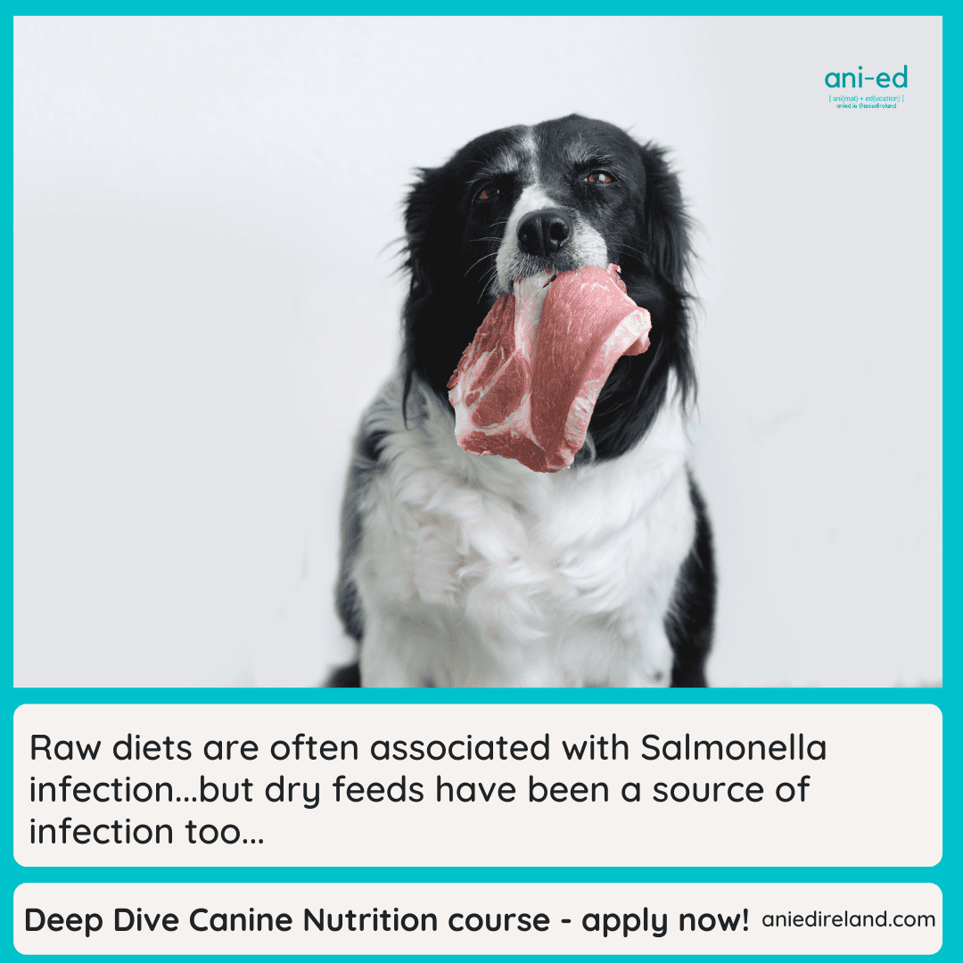 Deep Dive Online Canine Nutrition course