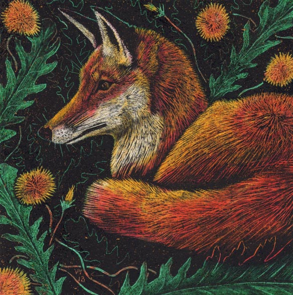 'Dandelion Fox' card