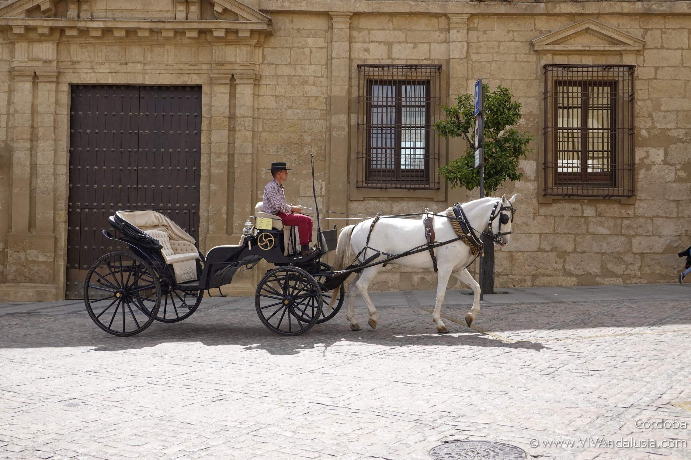 National Geographic heeft Córdoba uitgeroepen tot een van de mooiste regio's van Spanje
