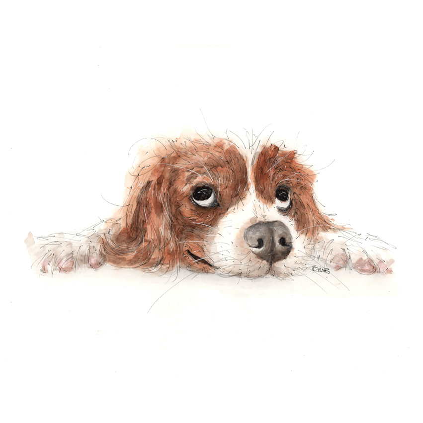 Size A3 Dog Watercolour Pencil & Ink Illustration.
