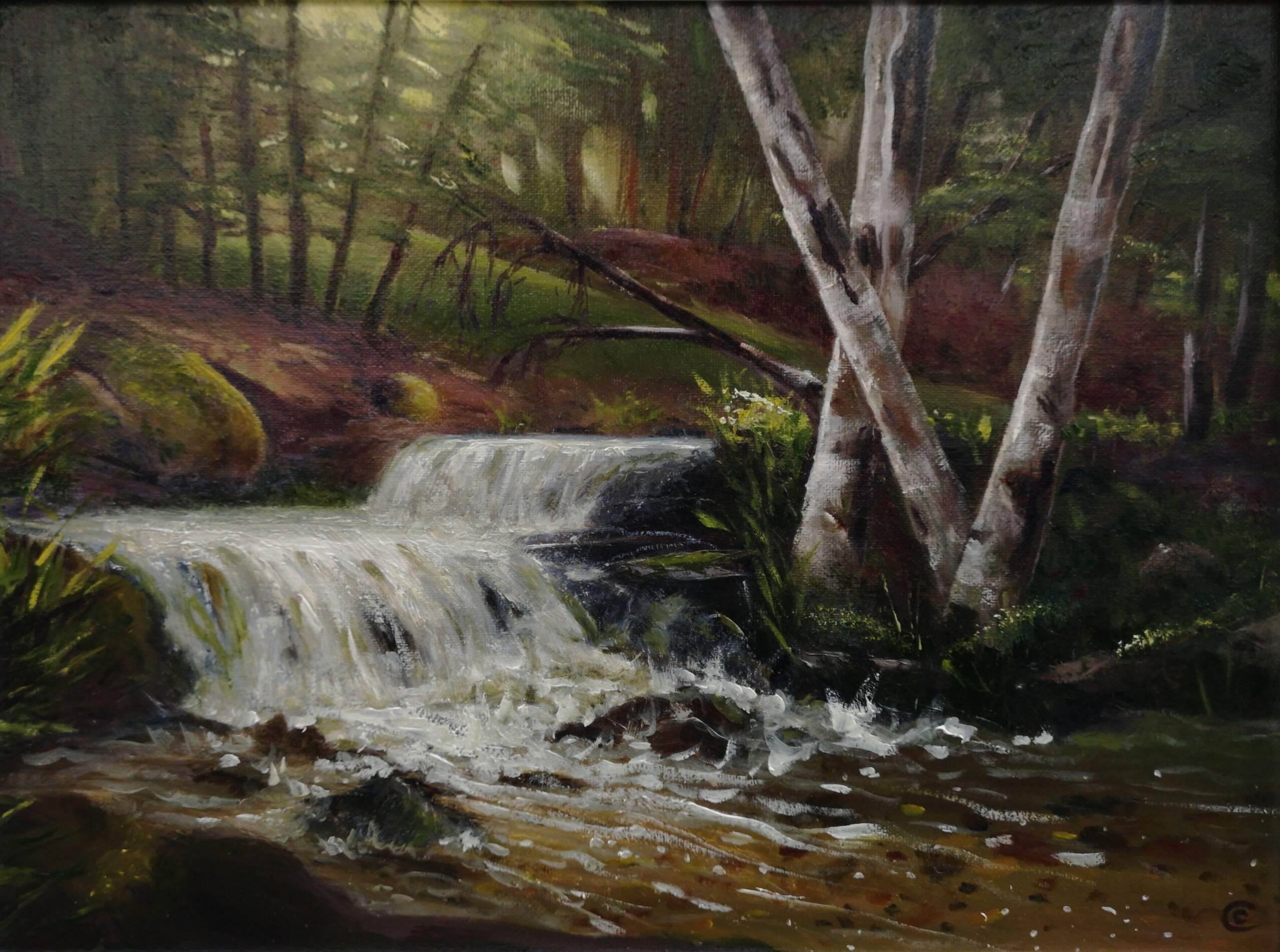 River in The Woods SOLD