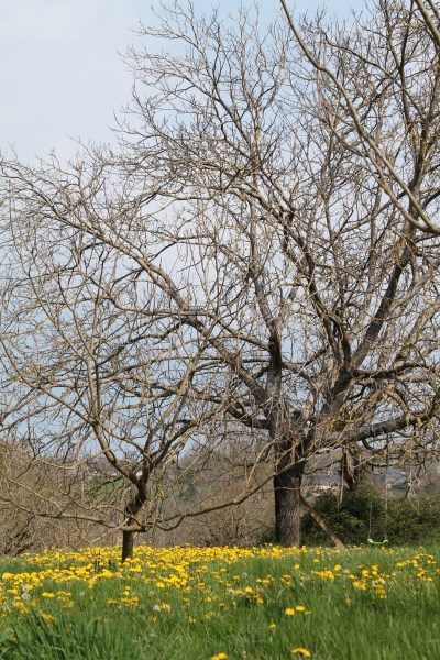 IMG_2039 400 x 600jpg