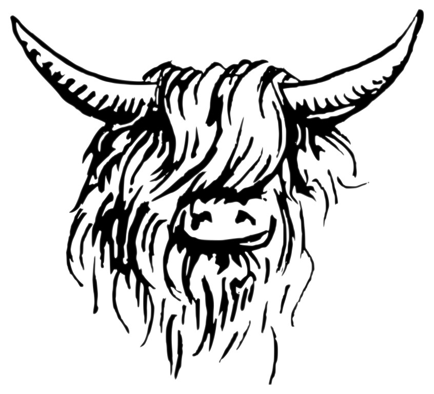 Pen tekening van schotse hooglander. Stoere stieren kop in zwarte kleur.