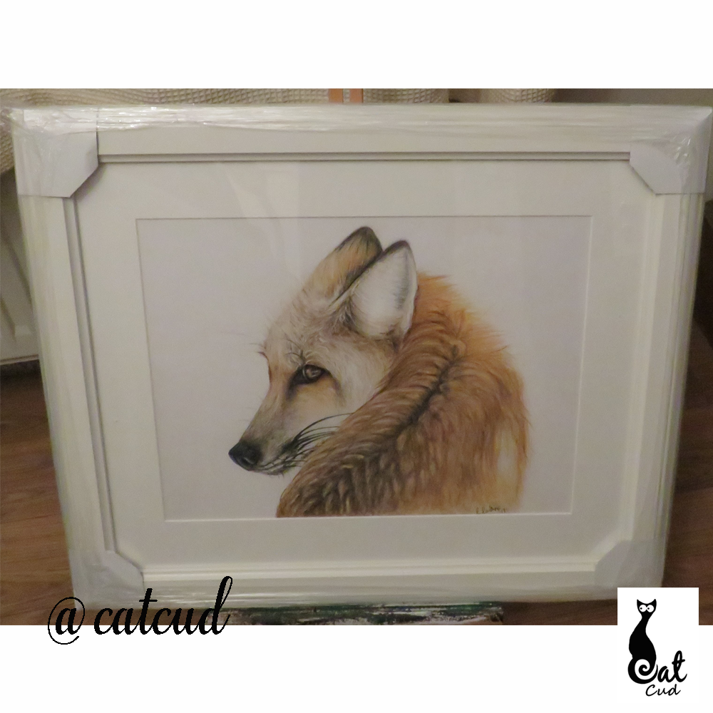 Fox Coloured Pencil Painting