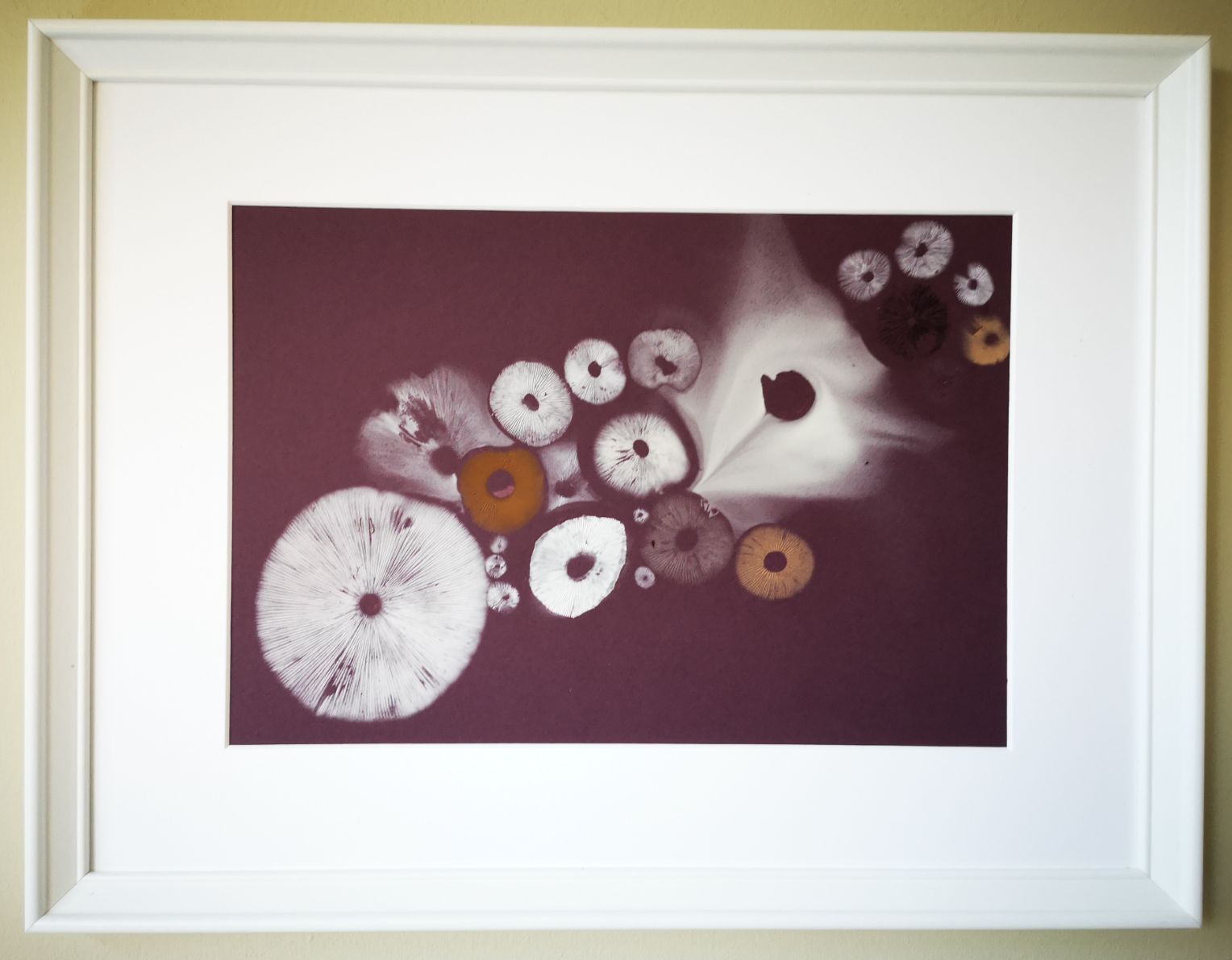 Russula and friends on Plum - Sold