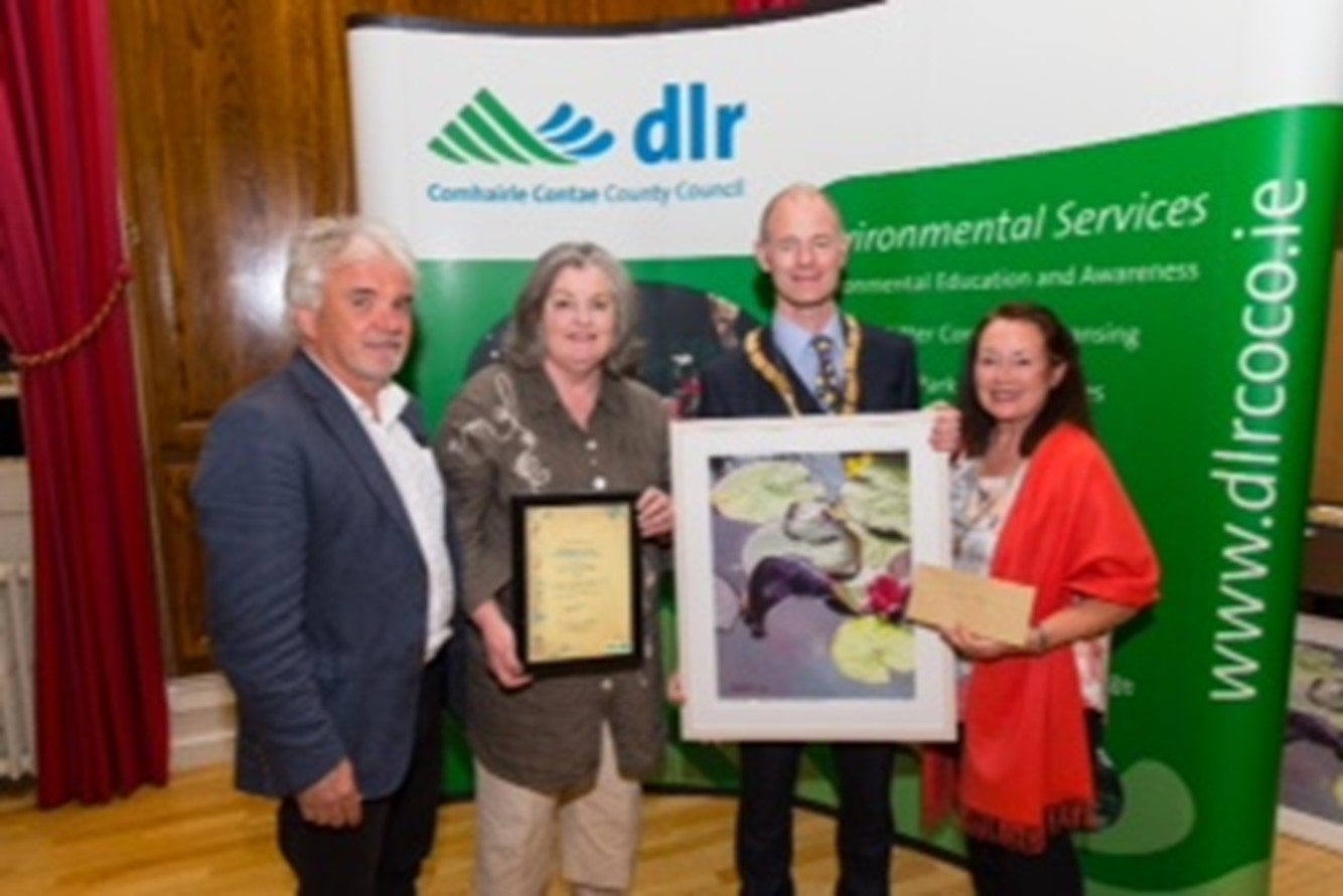 presentation of awards in Dún Laoghaire-Rathdown