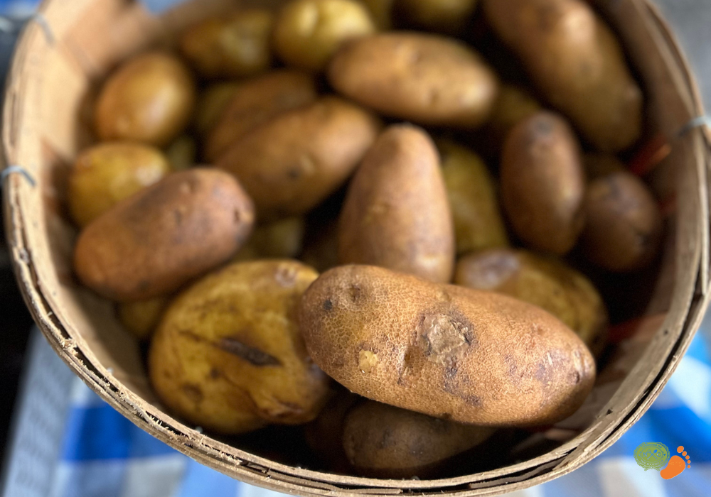ncff potatoes blogpng