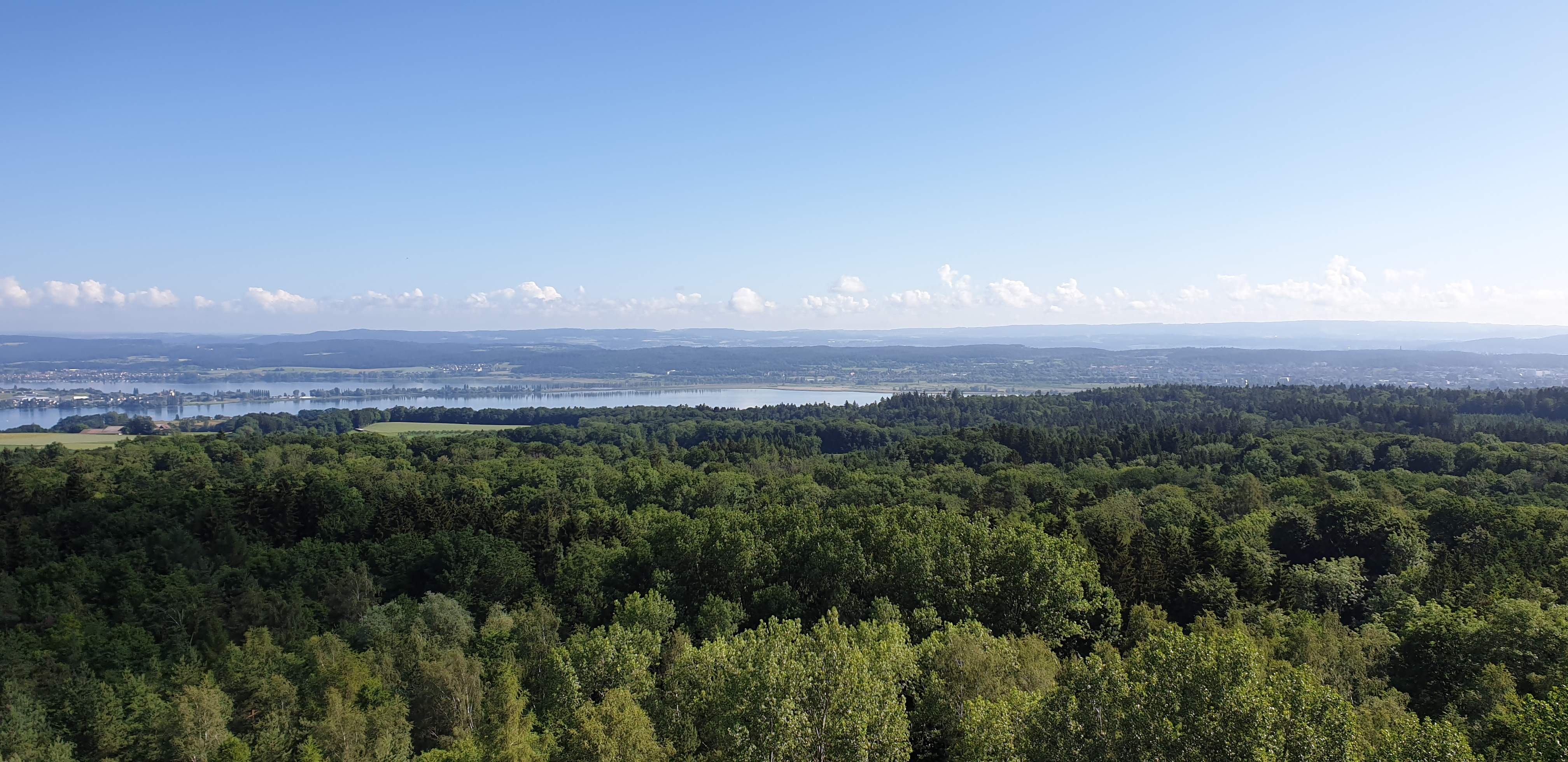 Aussicht vom Napoleonturm