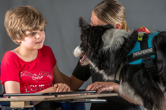 Dog Assisted Interventions level 1 woensdag groep 1 najaar 2022 (BE)