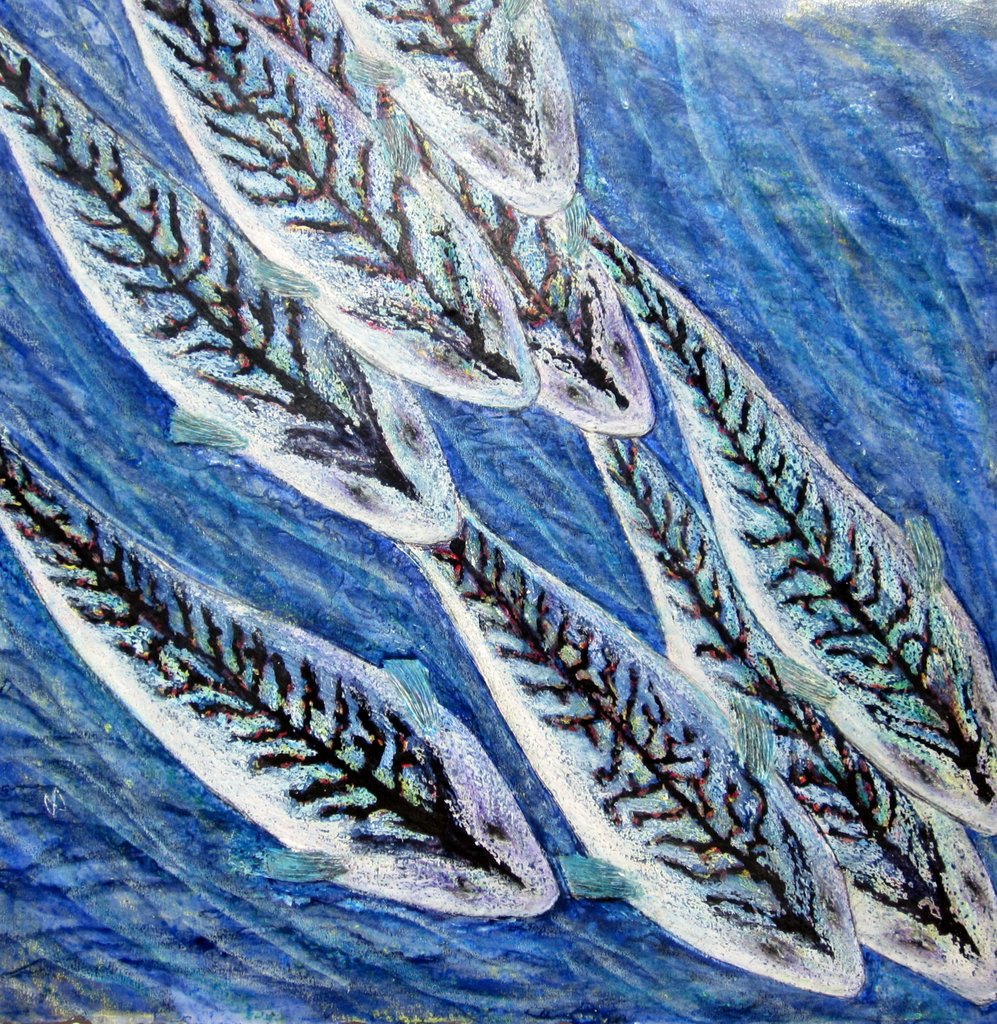 Slade Mackerel II. A shoal of mackerel swimming.