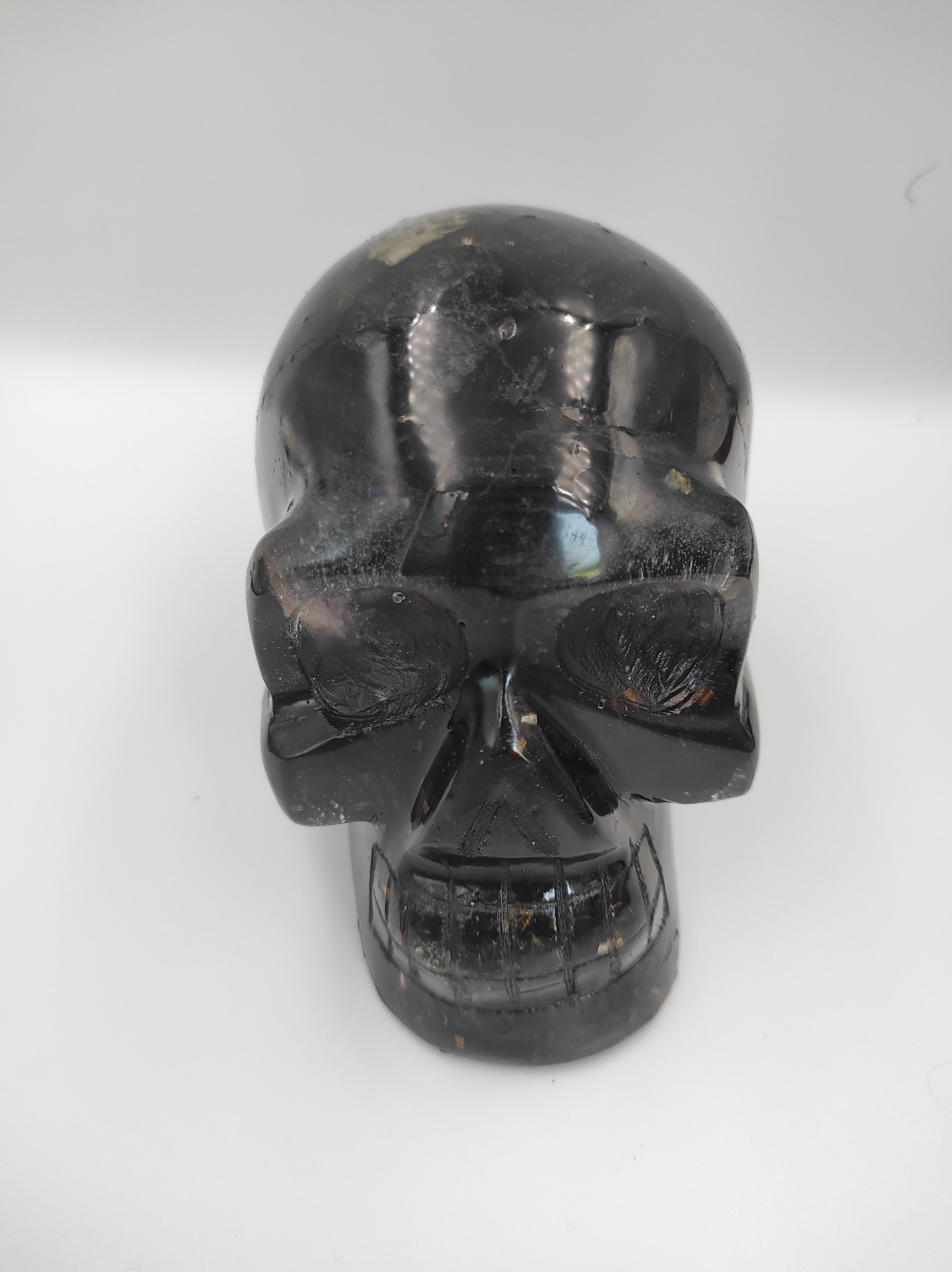 Skull gevuld met Toermalijn, Shungit, Amethist, IJzer en schelp