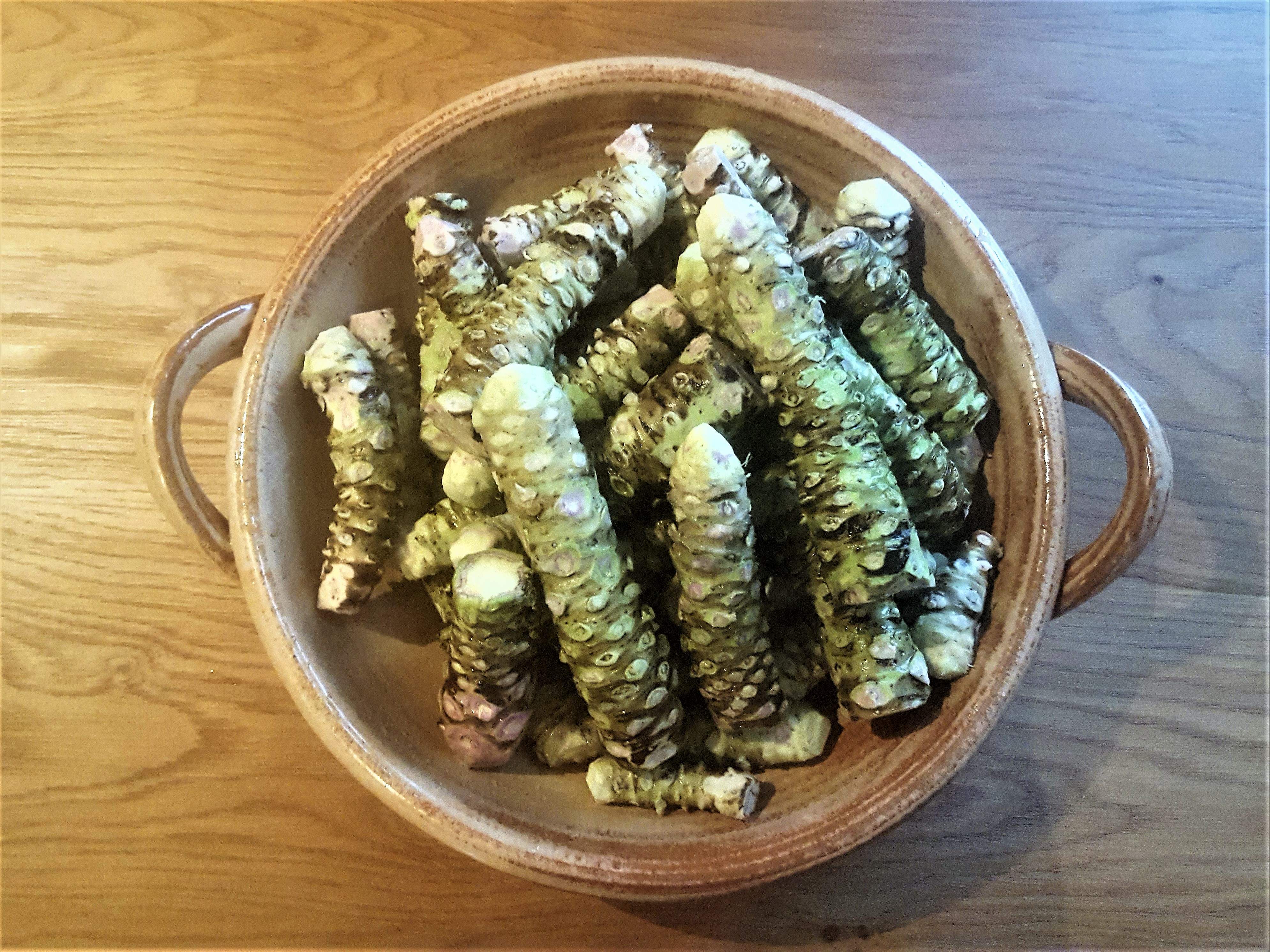 Wasabi rhizomes are ready to enjoy!