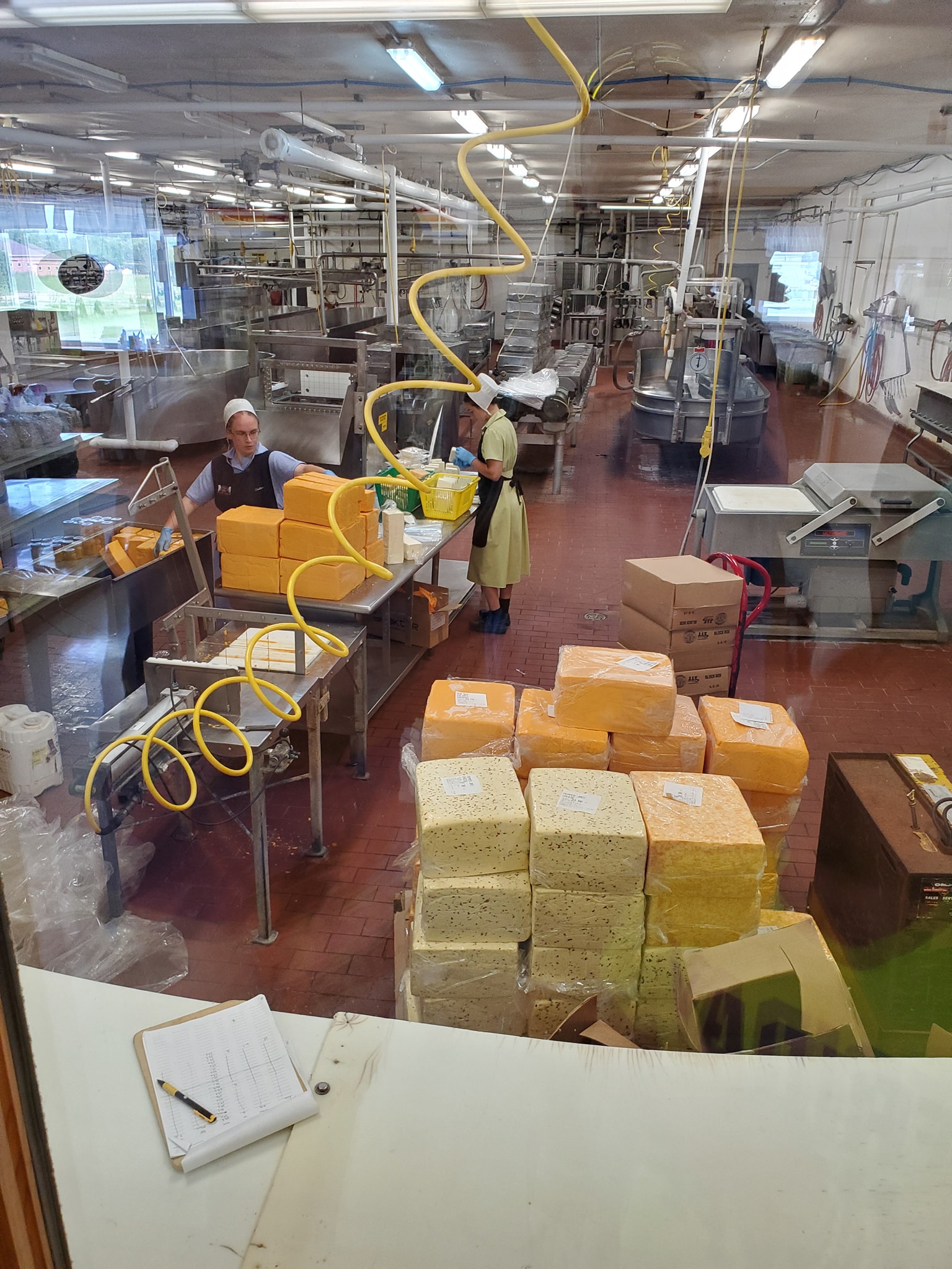 Middlefield cheese plantjpg