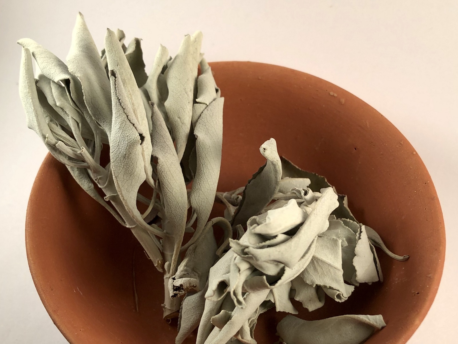 Weisser Salbei, ganze Blätter - Kraft der Reinigung (30 g)