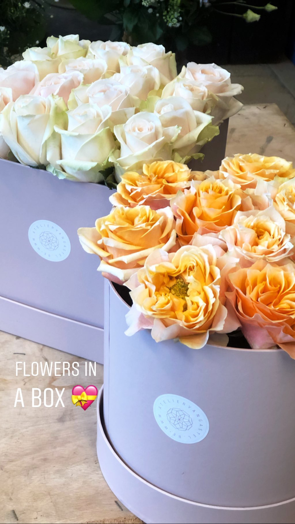 FLOWERBOX PASTEL ROZE - Roze bloemendoos met uni kleur bloemen