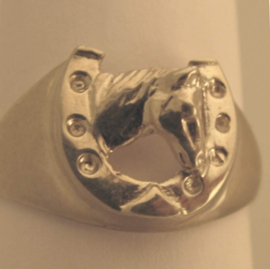 Horse’s head in shoe ring