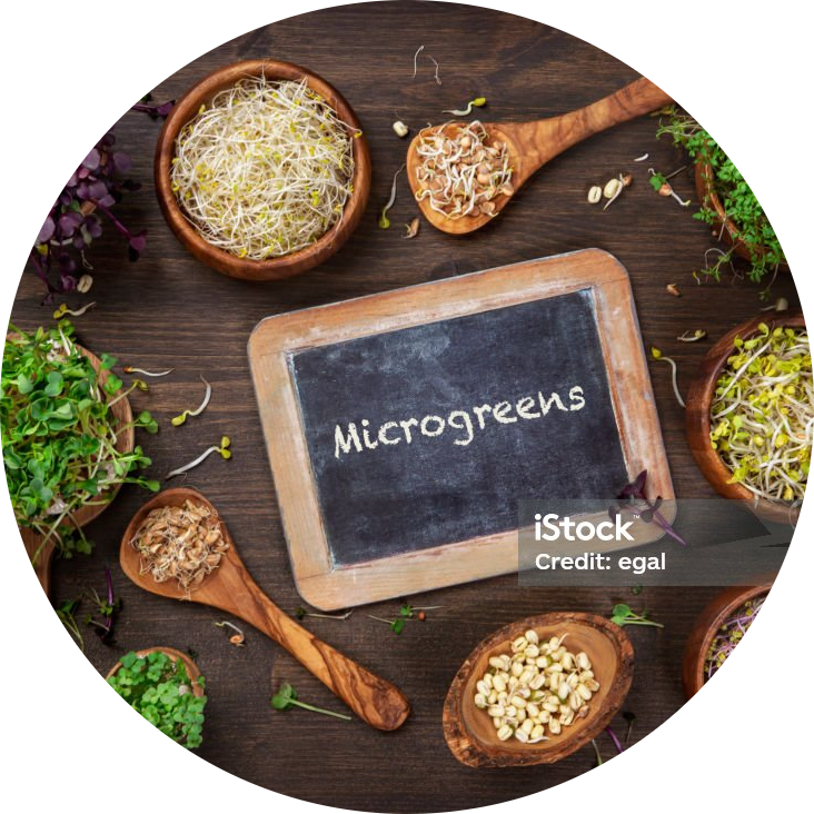 What to do with Microgreens?