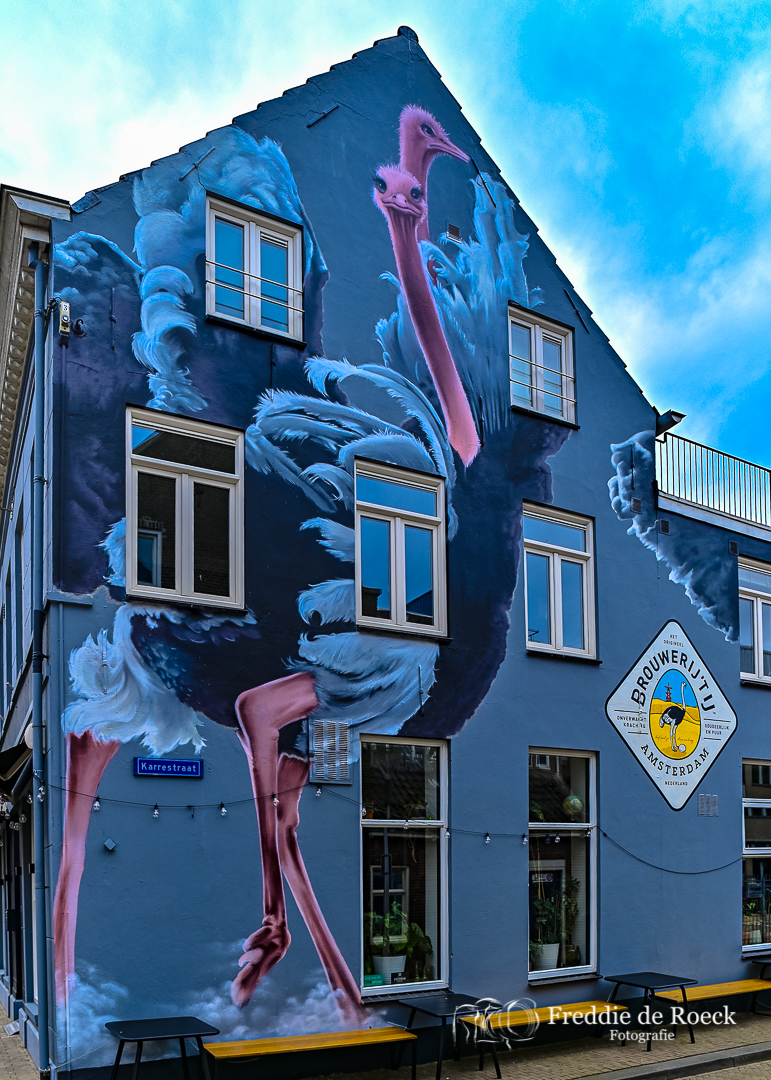 Muurschilderingen _ Tilburg _ 10 aug 2021 _ Foto _ Freddie de Roeck _  5_JPG