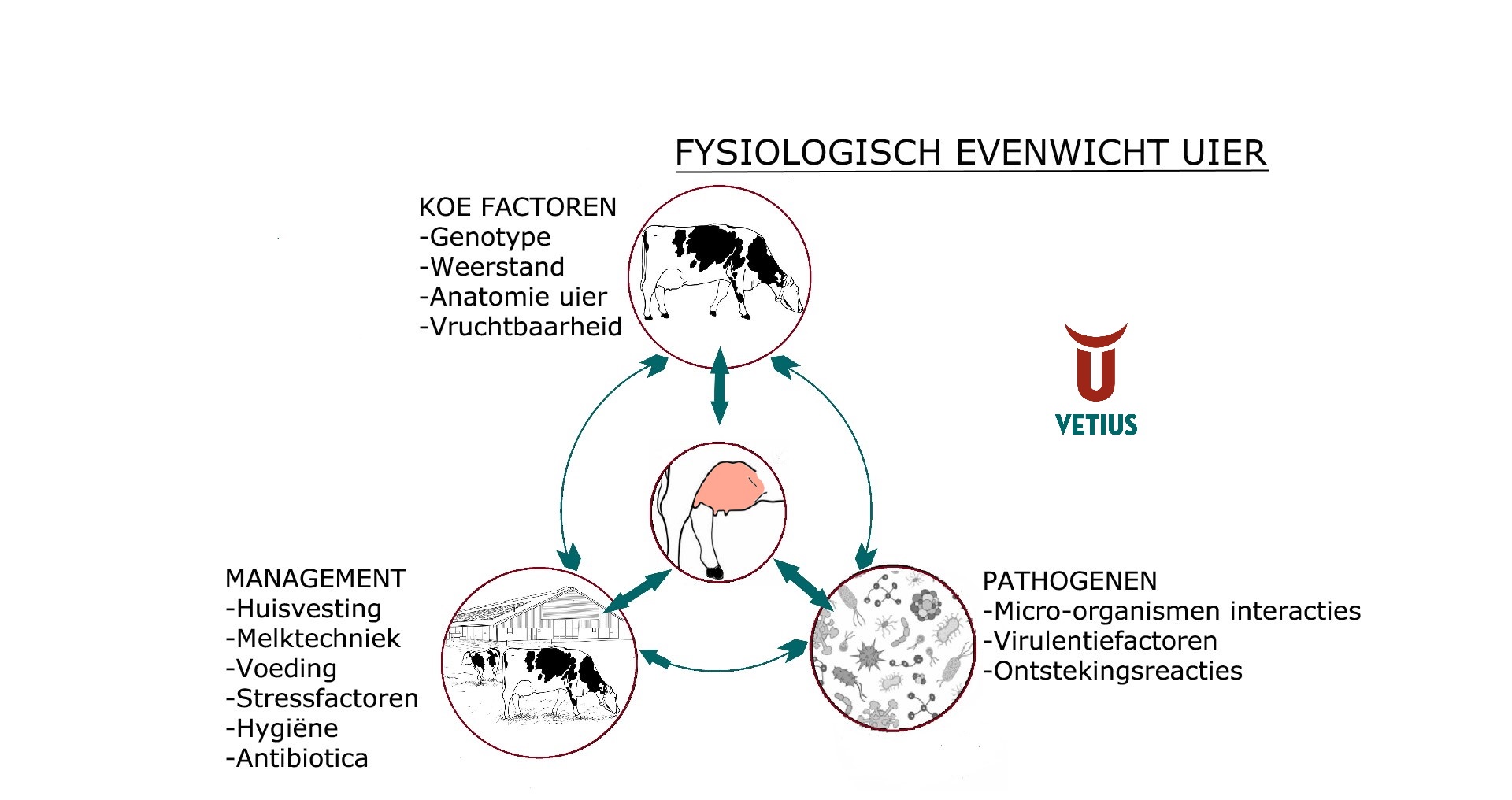 Schema microbioom uierjpg