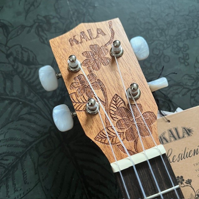 Kala Gardenia Concert Ukulele