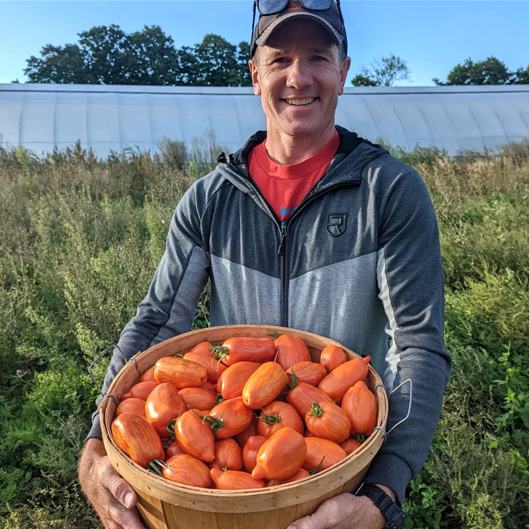 Farmer Glen holding a bushel basket of freshly harvested organic heirloom tomatoes