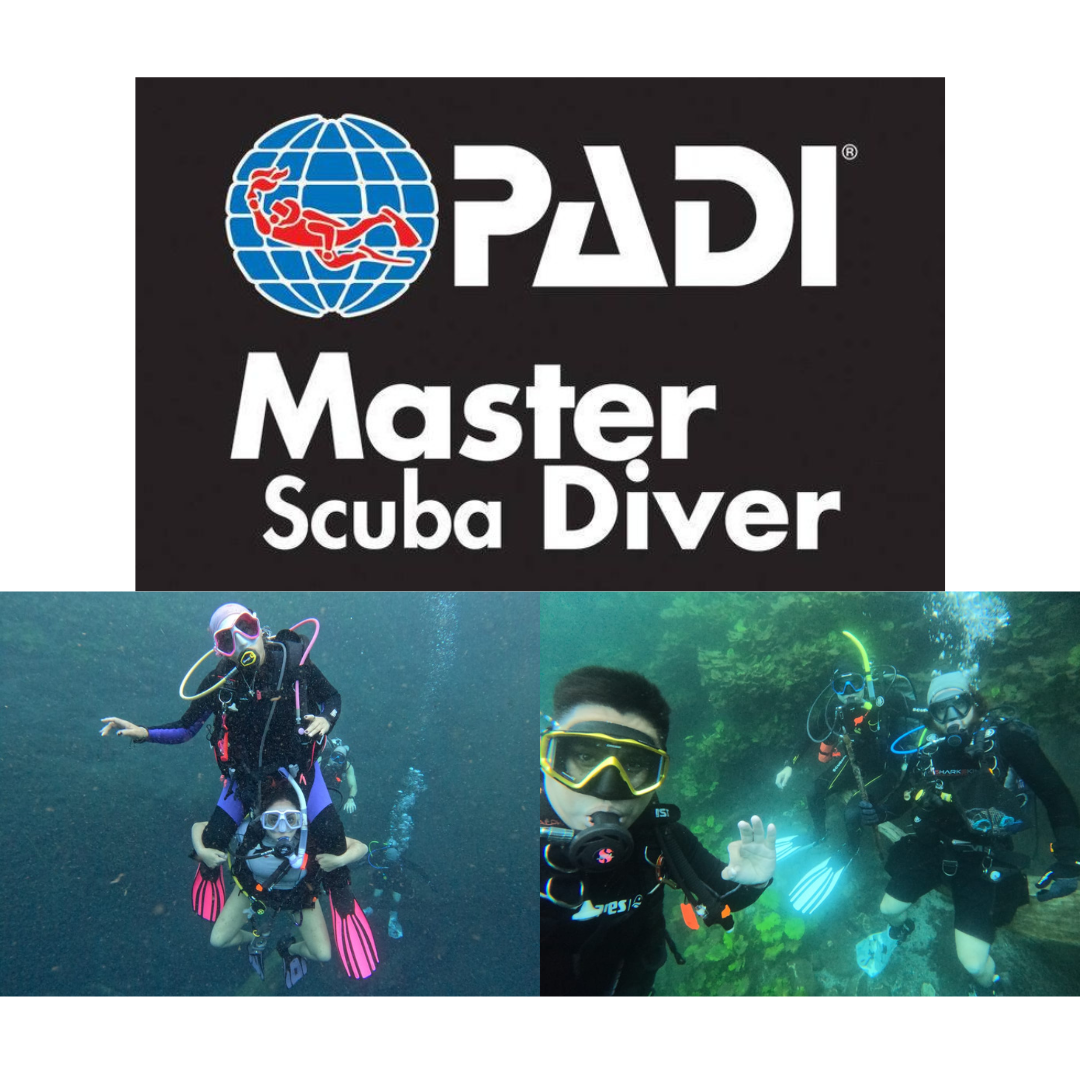 APDI Master Scuba Diver