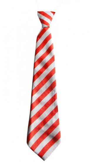 GSPB Elasticated Tie