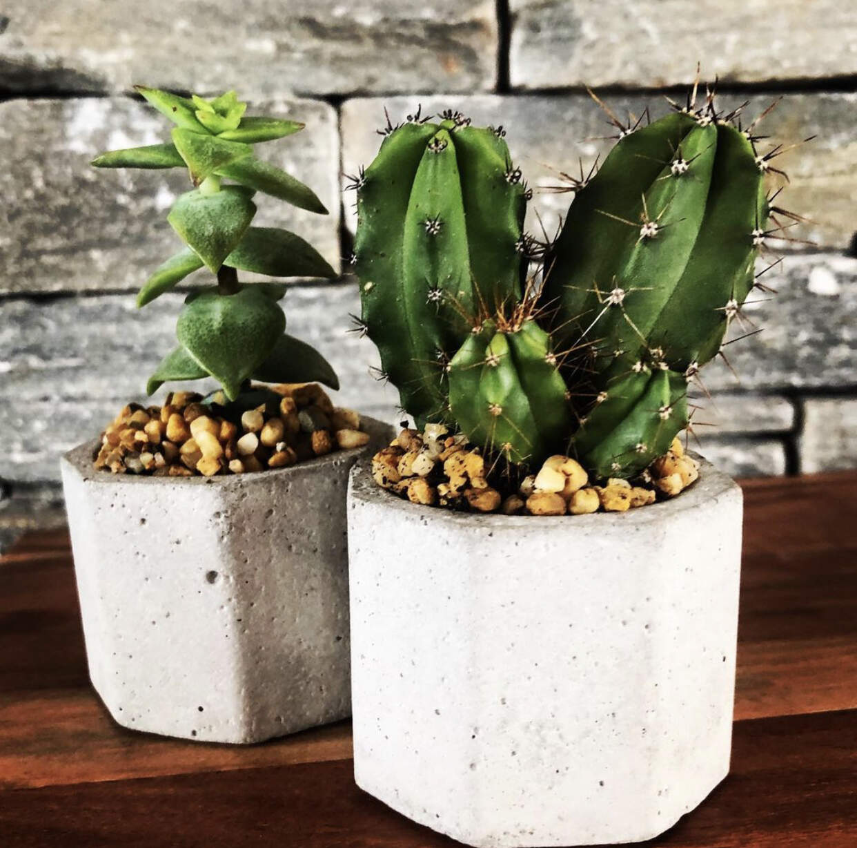 YAYCORK.IE - Here are 3 lovely Irish companies that will deliver lush houseplants to your doorstep By Katie Mythen-Lynch April 13, 2021