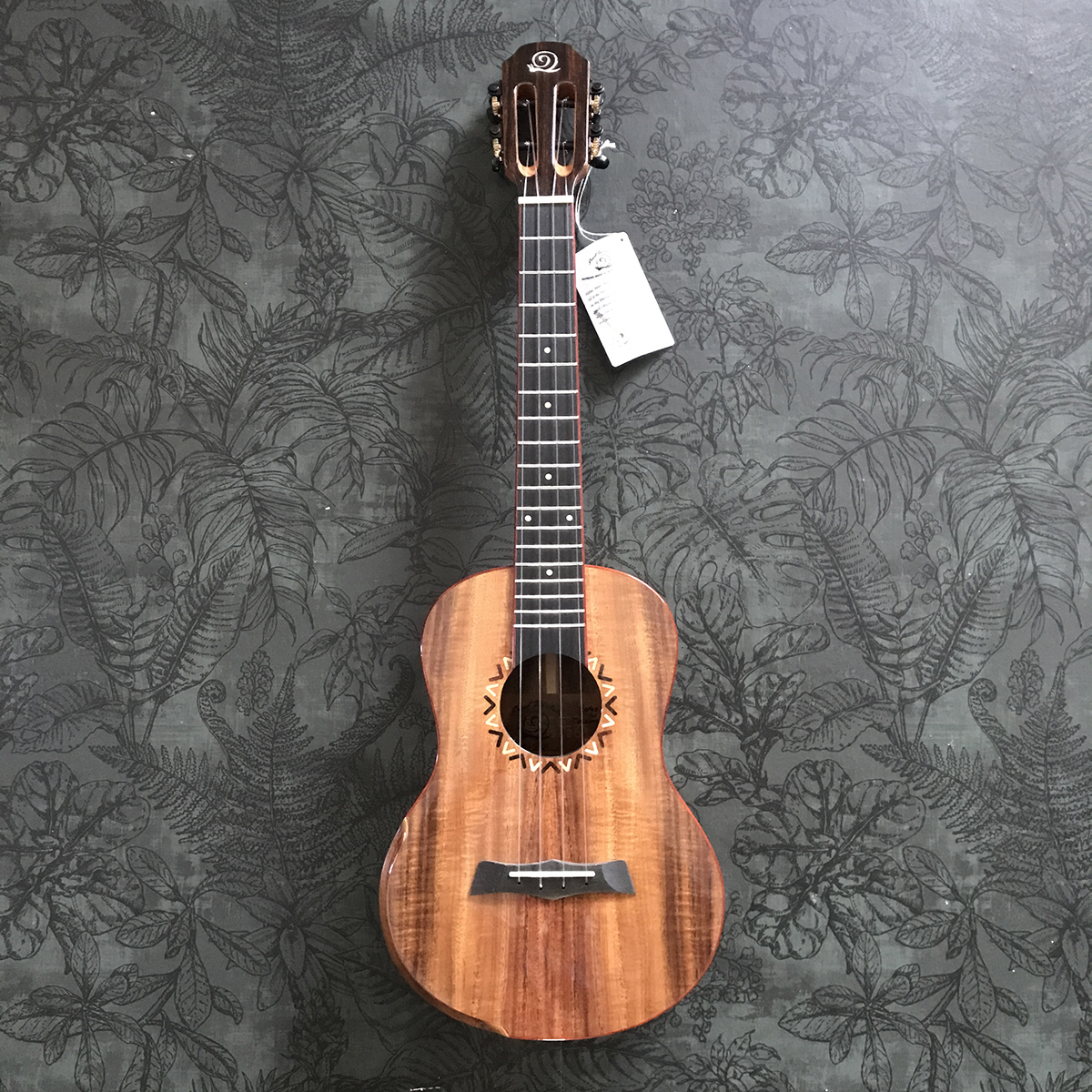 Snail S20T Solid acacia