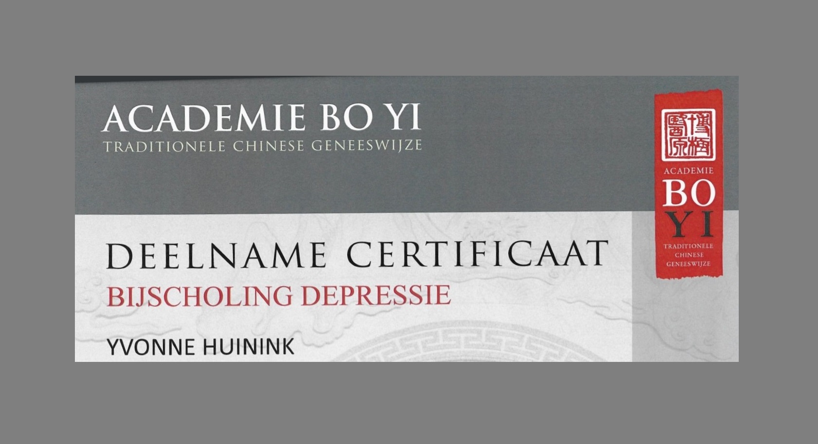 Yvonne Huinink Acupunctuur Doetinchem Bijscholing Depressiejpg