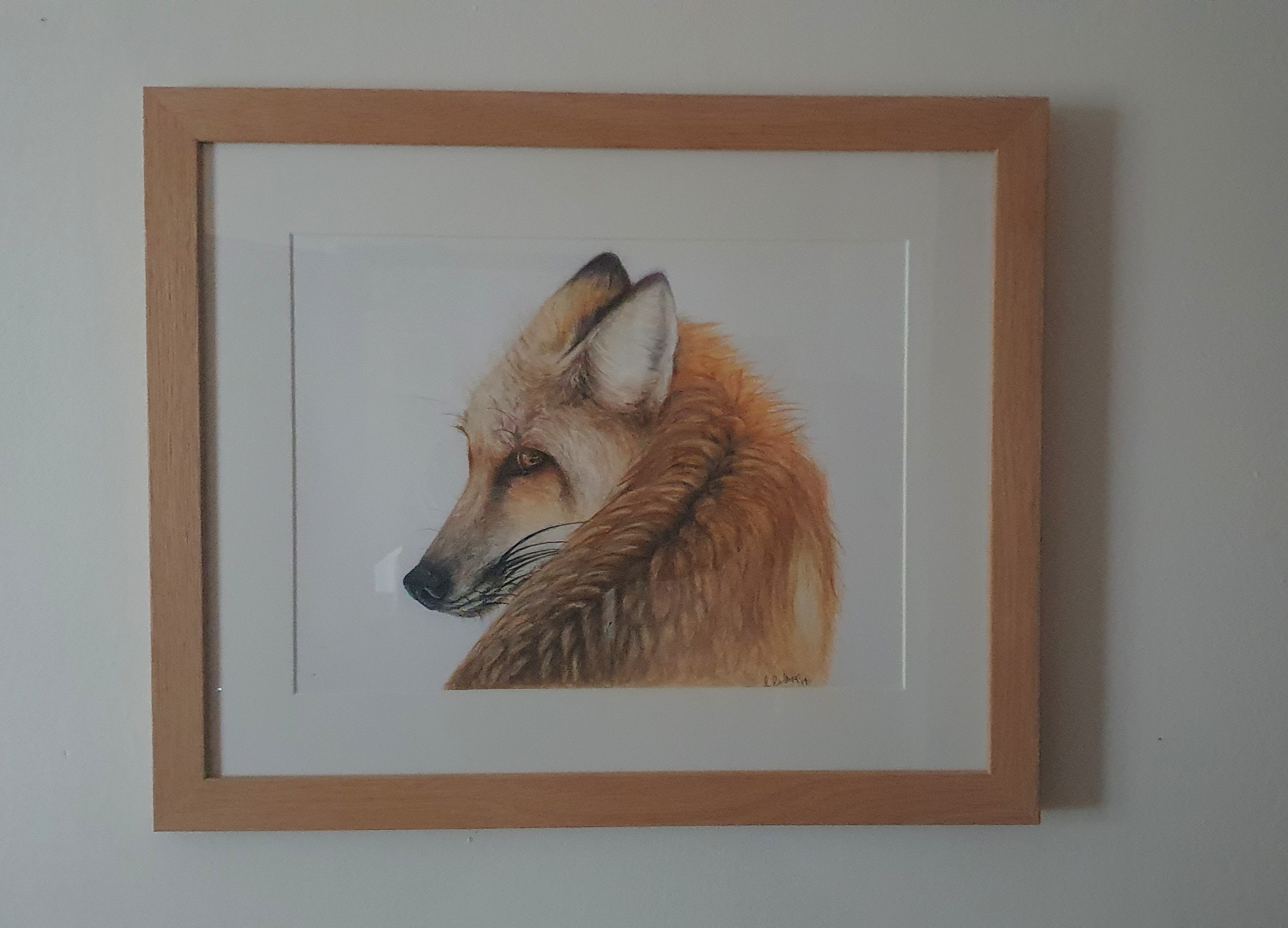 Fox Coloured Pencil Painting