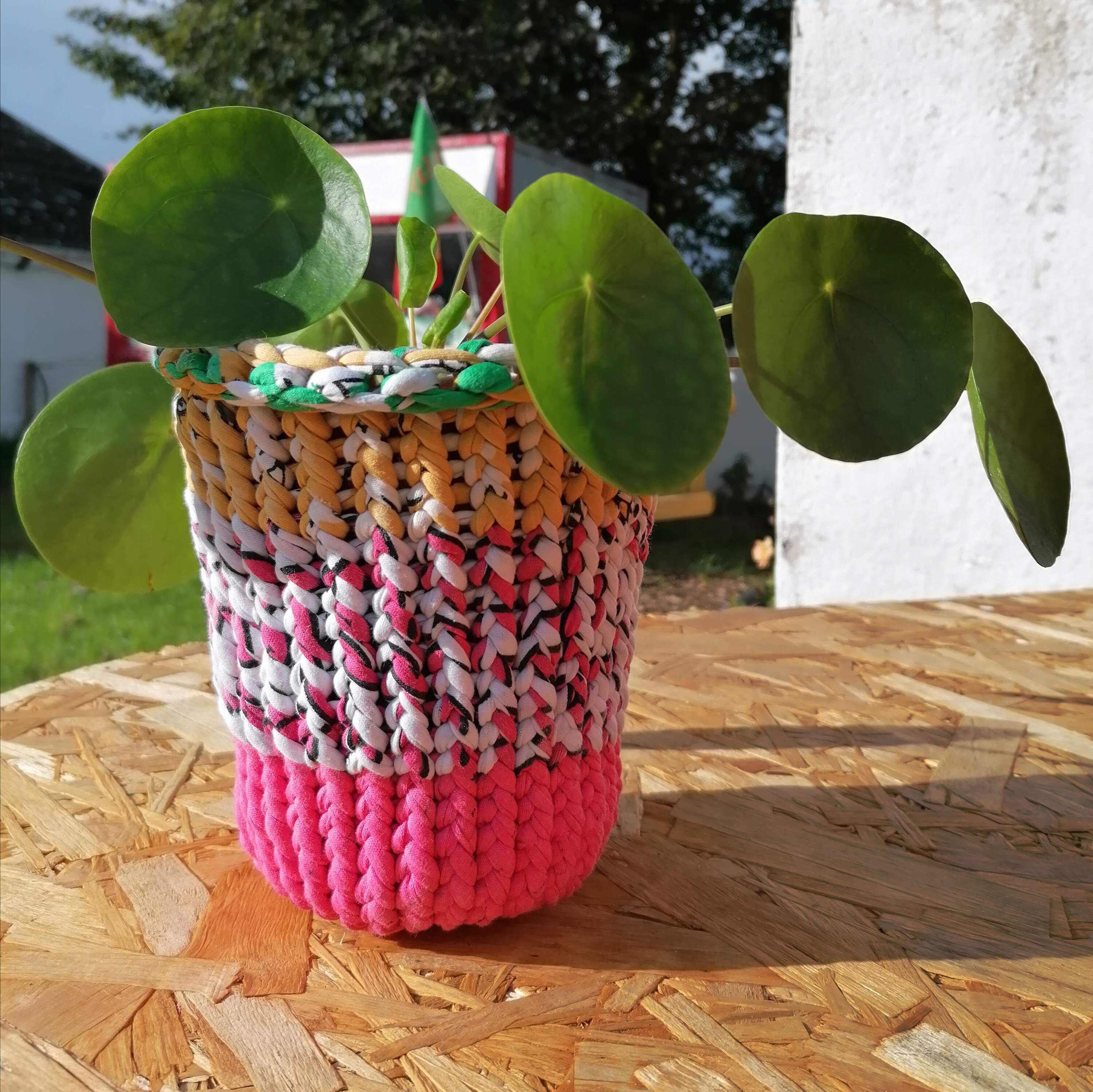 Recycled Jersey Yarn Plant Cosy