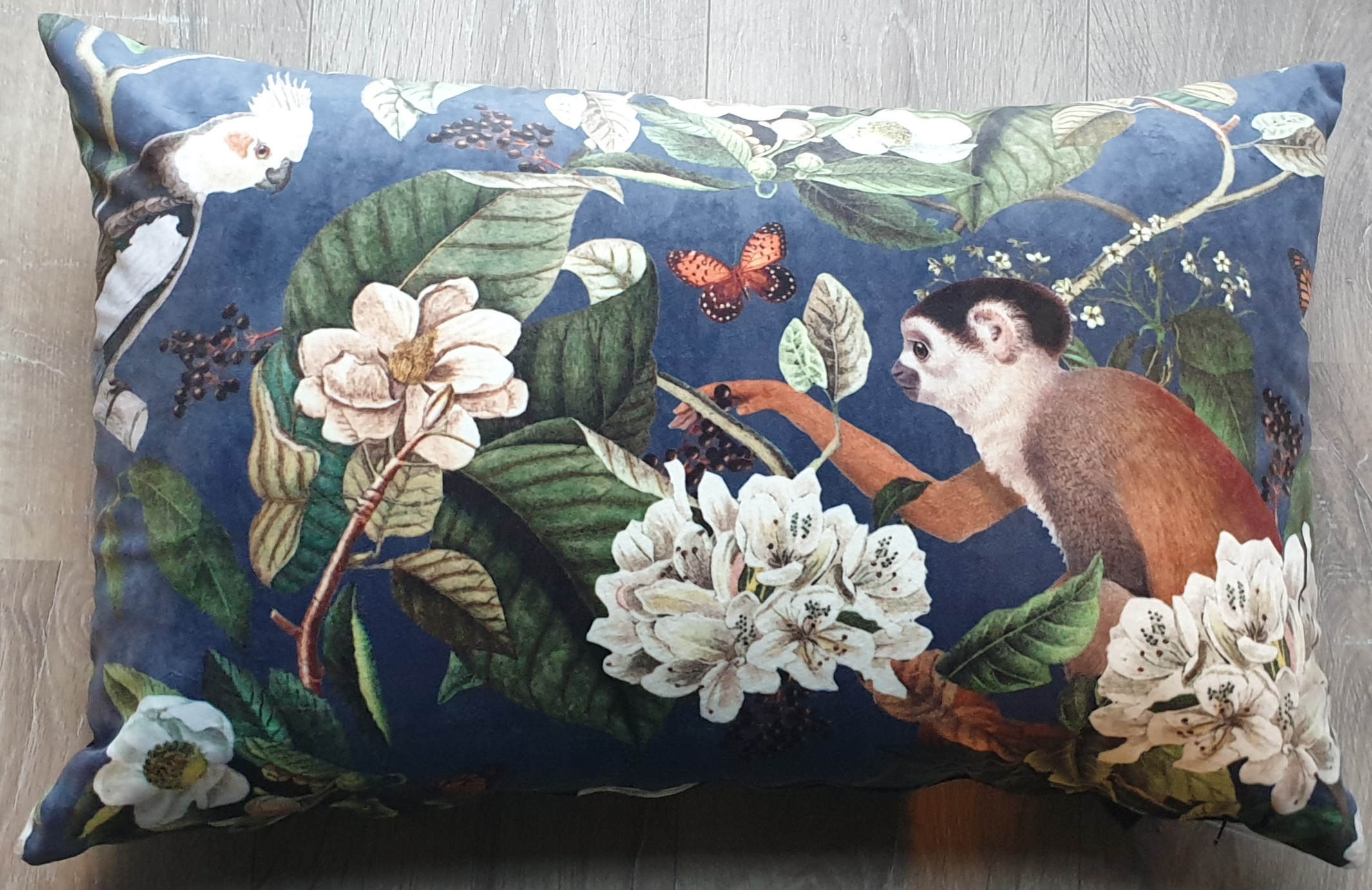 COLMORE, cushion Monkey, velvet,