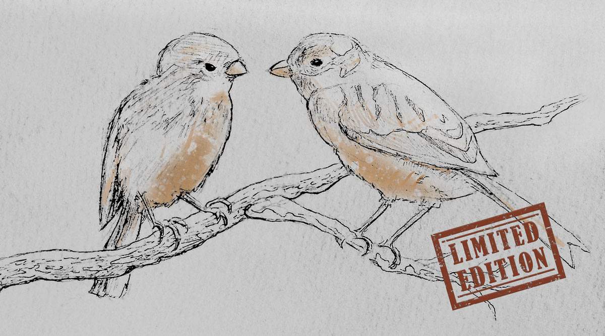 Limited Edition Art Print - twee vogels op een tak