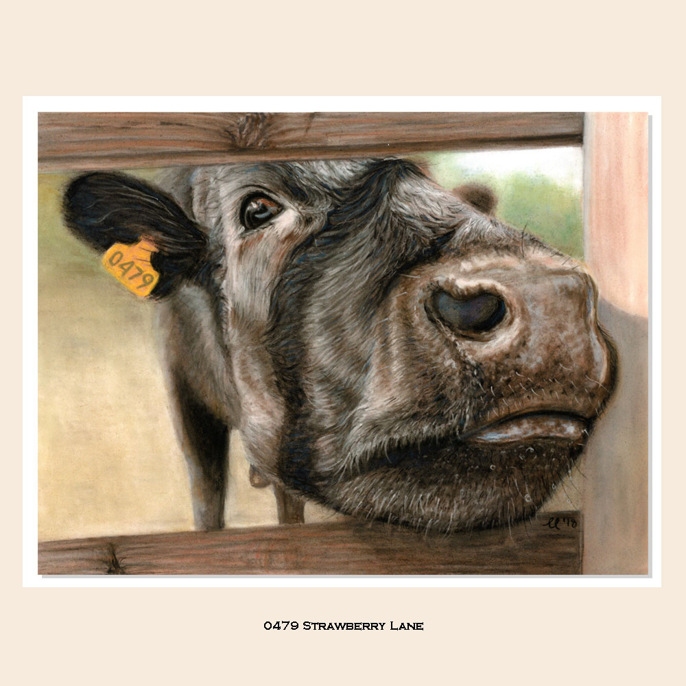 Cow Pastel Painting