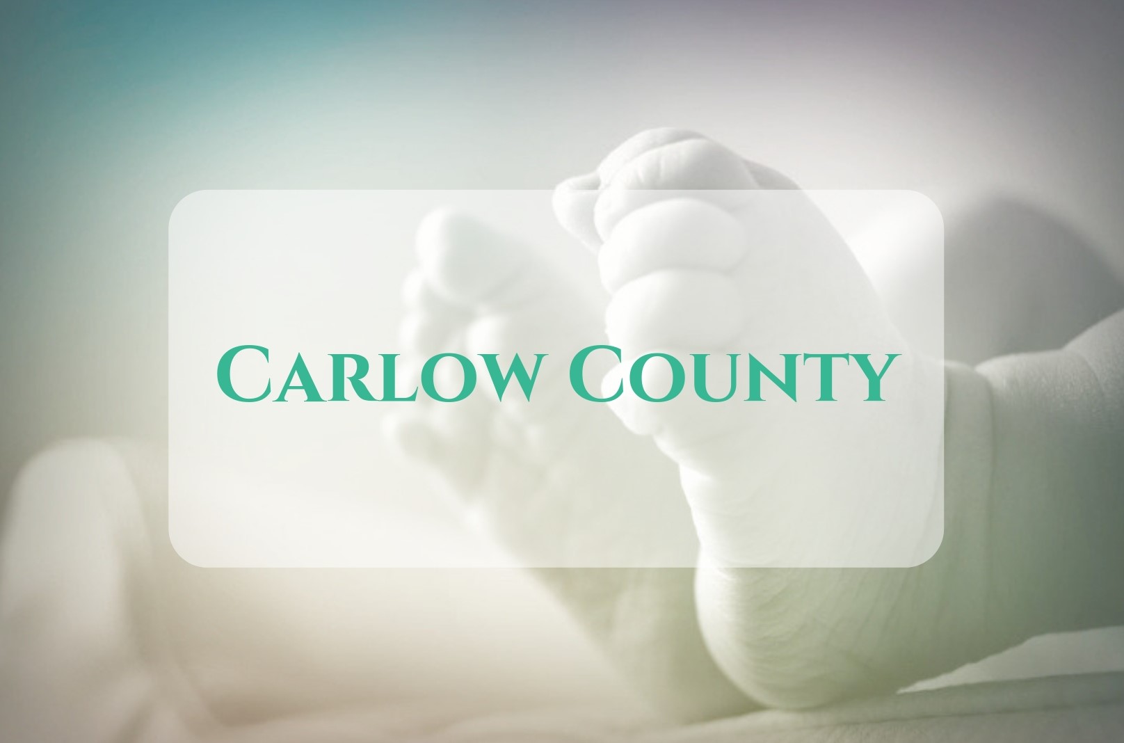 Placenta Collection for Carlow County