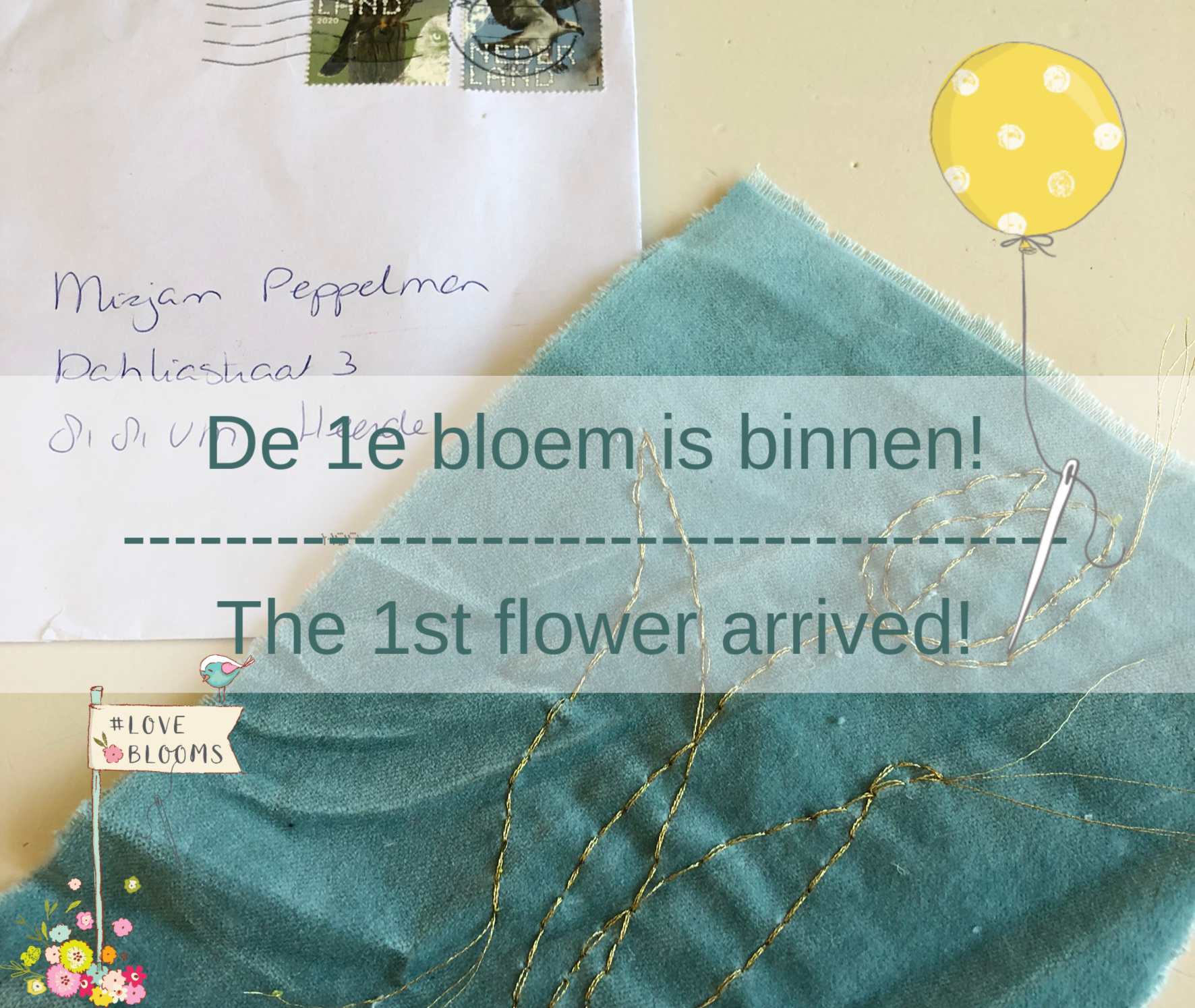 1e bloem | 1st flower