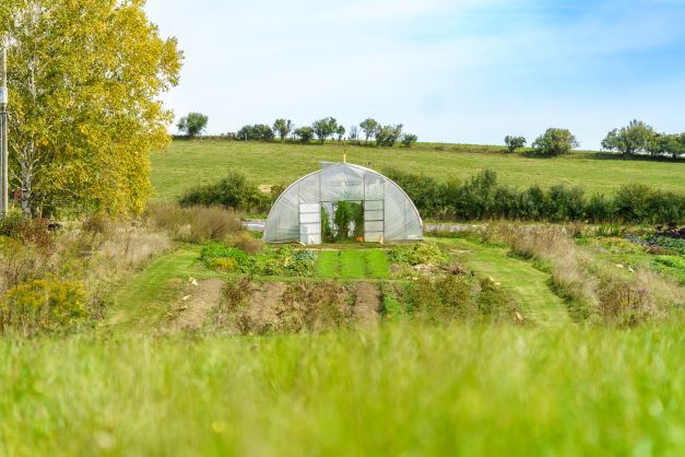 Benefits of Buying Local from a Small Farmer