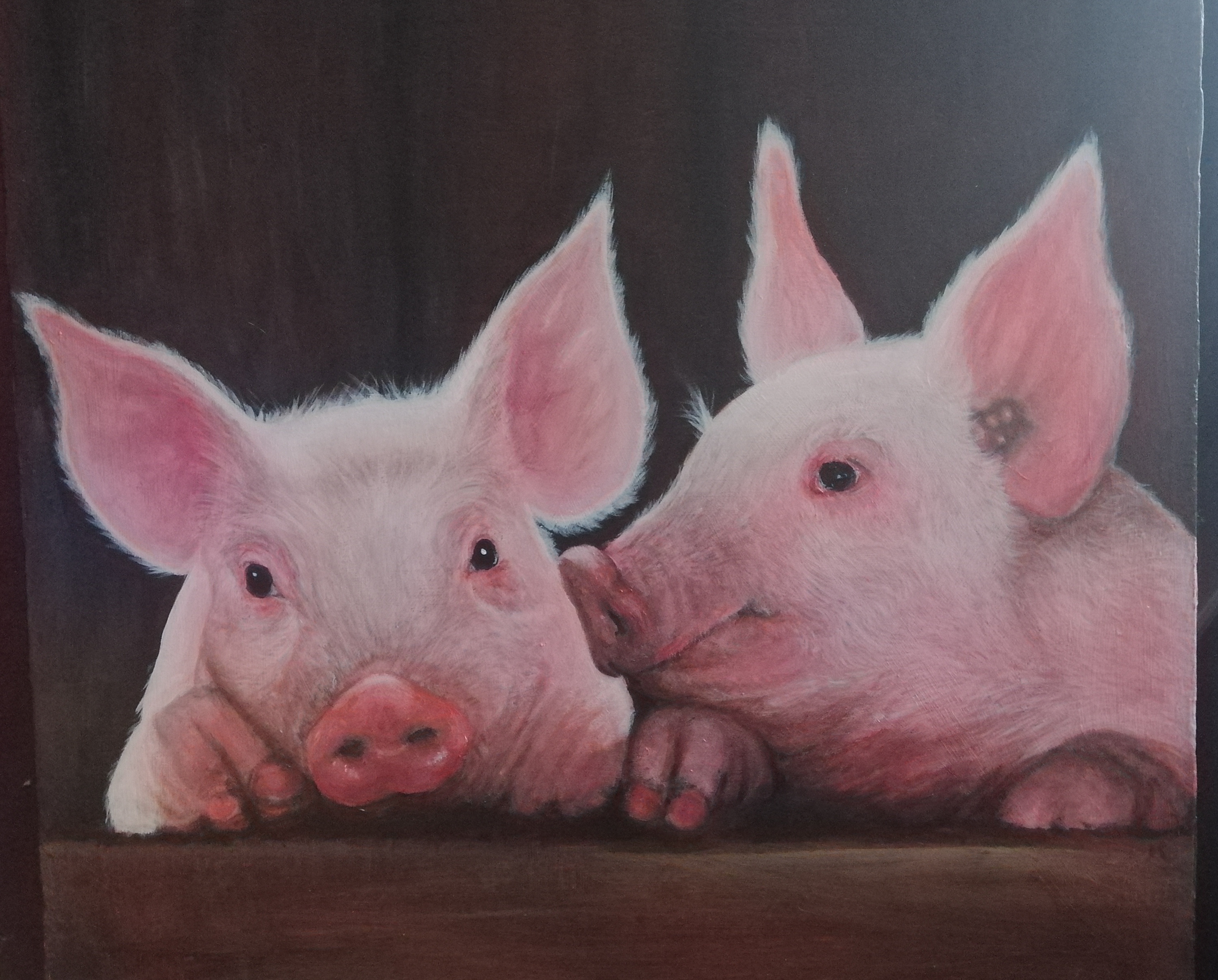 Piggy Pair: A Tale of Two Curious Pigs