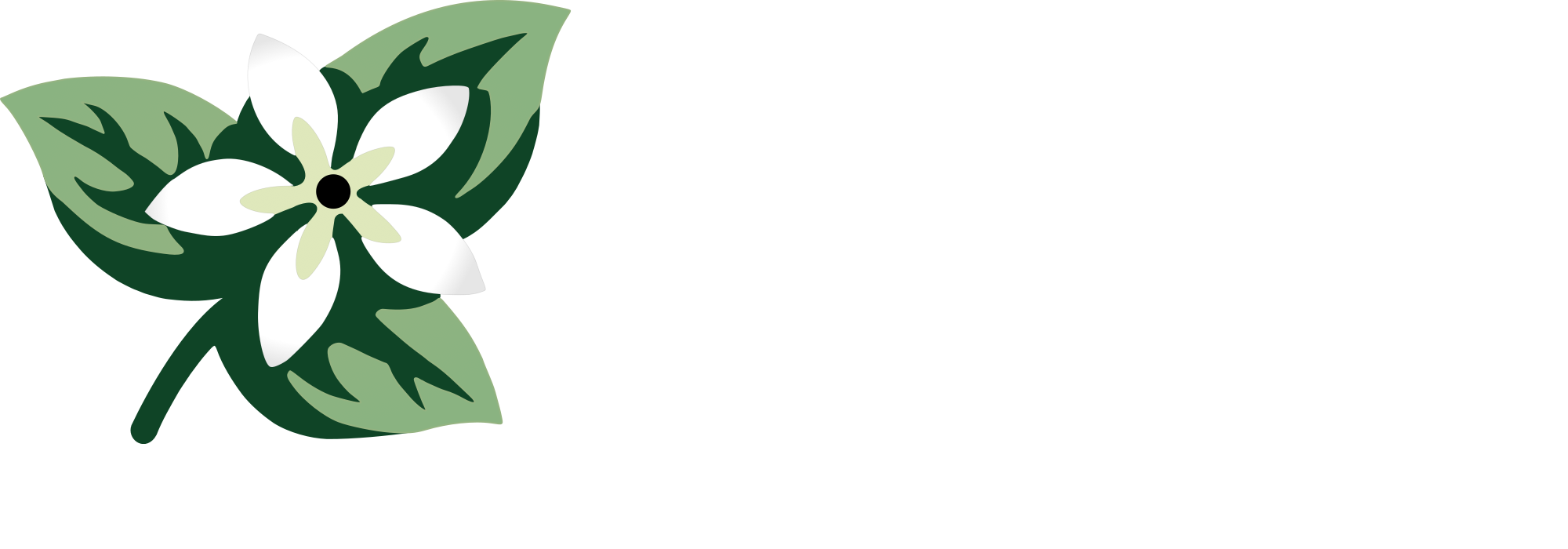 Jasmine Pilates