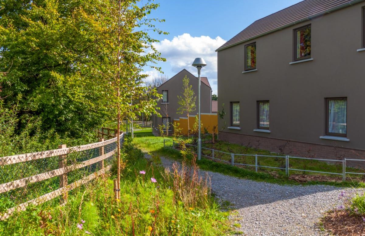 Housing development in Clare. Project and design architect for Reddy A+U