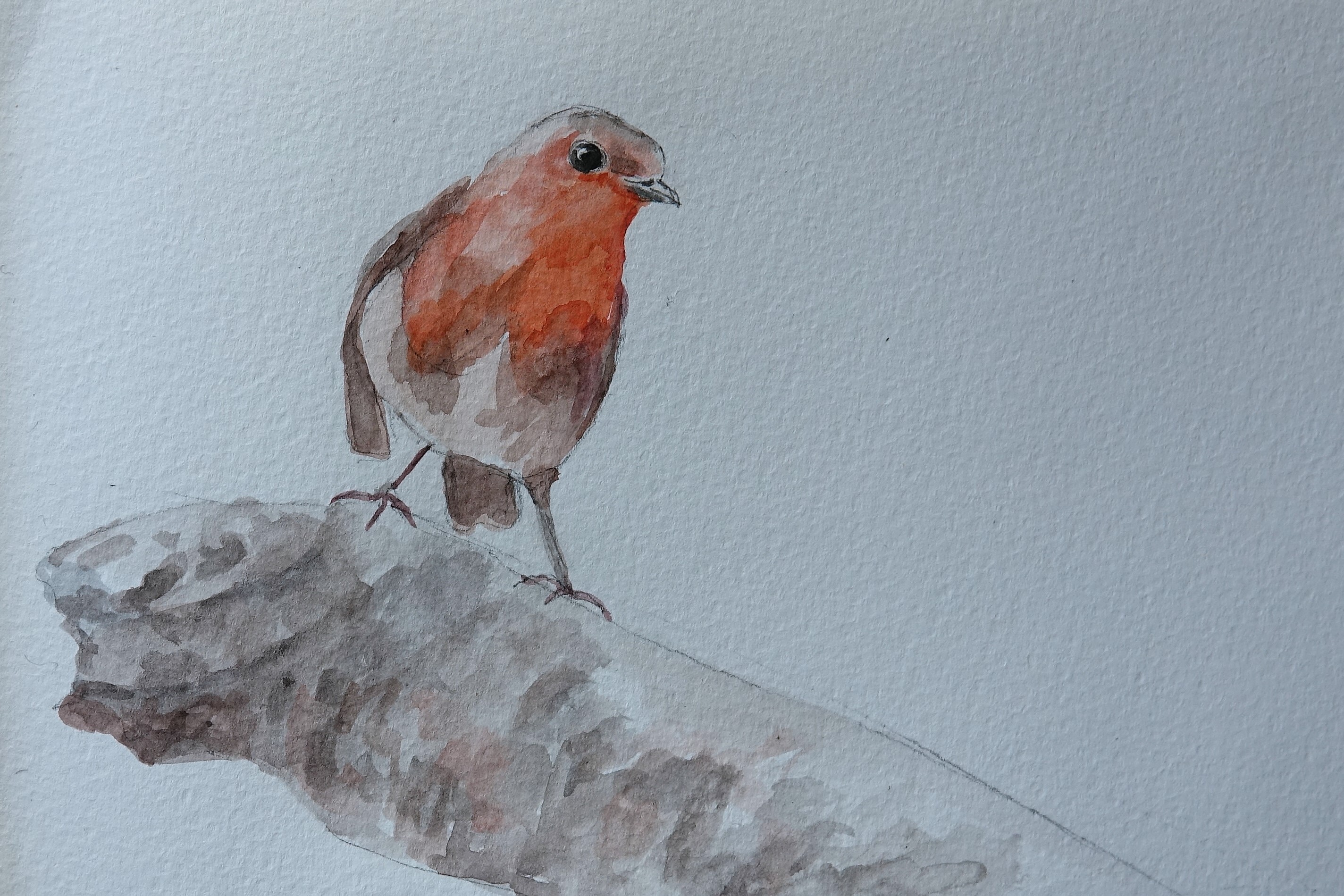 Vogels In Aquarel